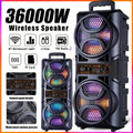 portable large speaker subwoofer microphone suitable karaoke
